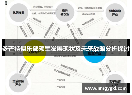 多芒特俱乐部领军发展现状及未来战略分析探讨