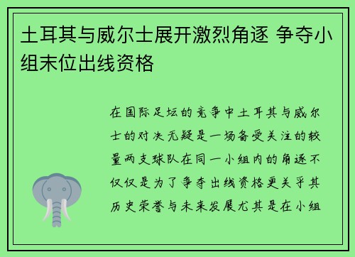 土耳其与威尔士展开激烈角逐 争夺小组末位出线资格