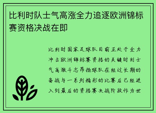 比利时队士气高涨全力追逐欧洲锦标赛资格决战在即